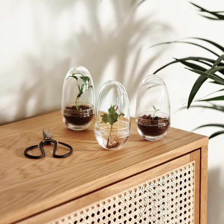 Das Grow Gewächshaus von Design House Stockholm als Deko-Objekt auf dem Sideboard