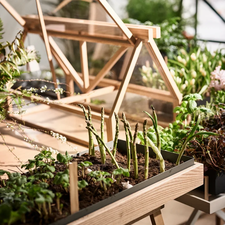 Das Greenhouse von Design House Stockholm gibt der Natur Raum