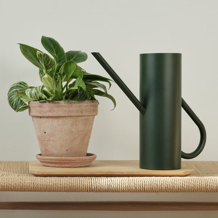 Bloom Giesskanne 2 l in pine von Stelton