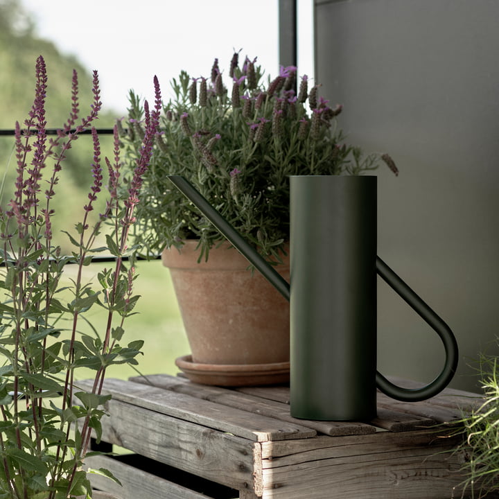 Bloom Giesskanne 2 l in pine von Stelton