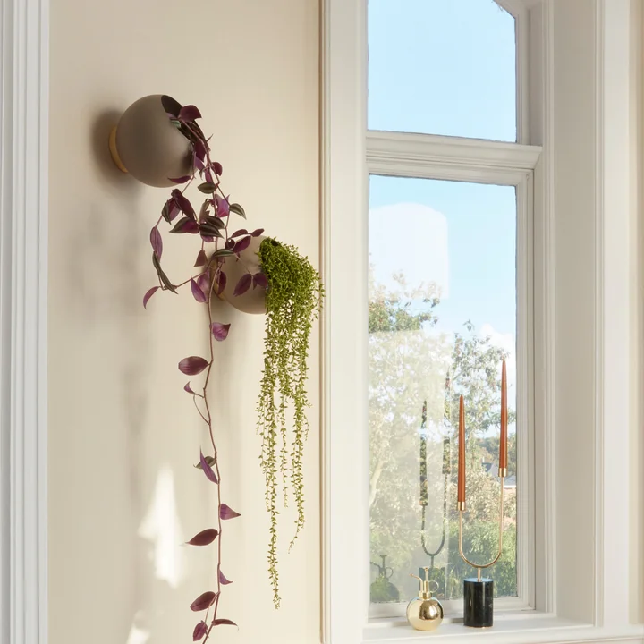 Globe Wand-Blumentopf von AYTM