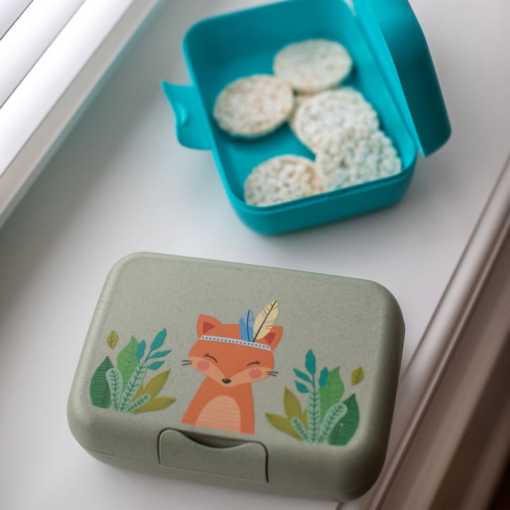 Candy L Kinder-Lunchbox Harry, organic green von Koziol