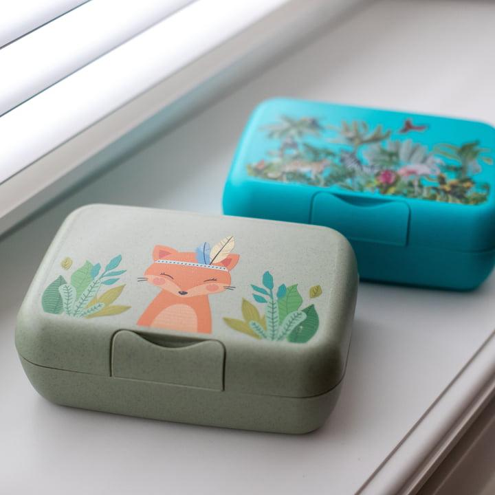 Candy L Kinder-Lunchbox Harry, organic green, organic turquoise von Koziol