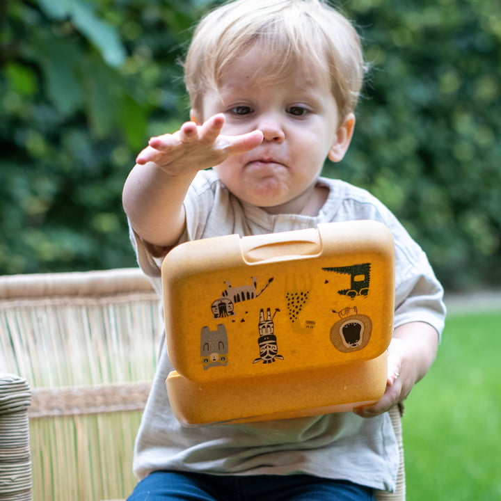 Candy L Kinder-Lunchbox Zoo, nature wood von Koziol