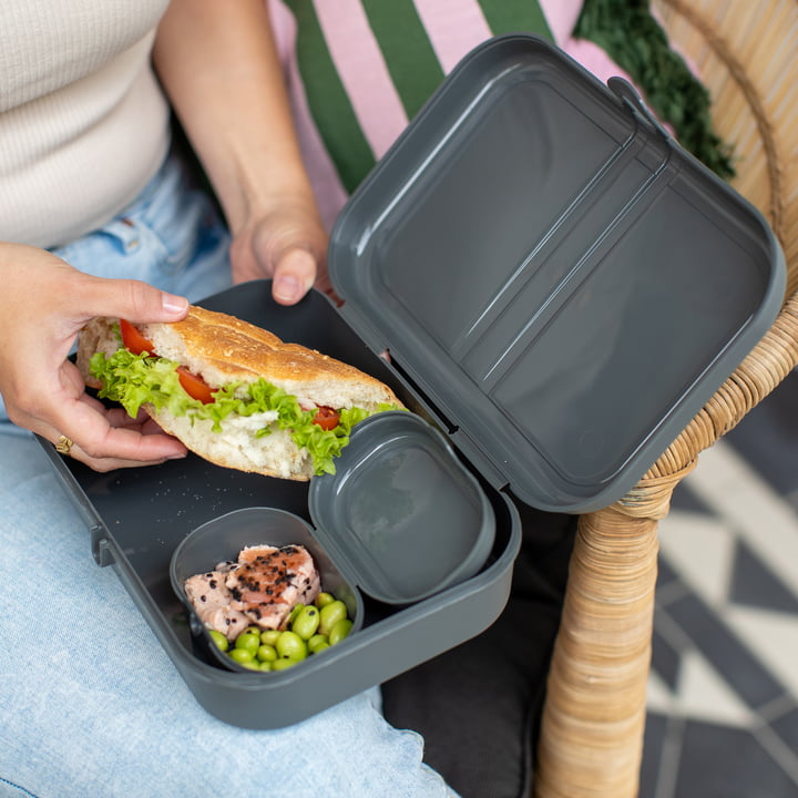 Pascal L Lunchbox mit Trennsteg, nature ash grey von Koziol