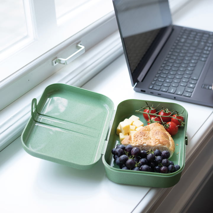 Pascal L Lunchbox mit Trennsteg, nature leaf green von Koziol