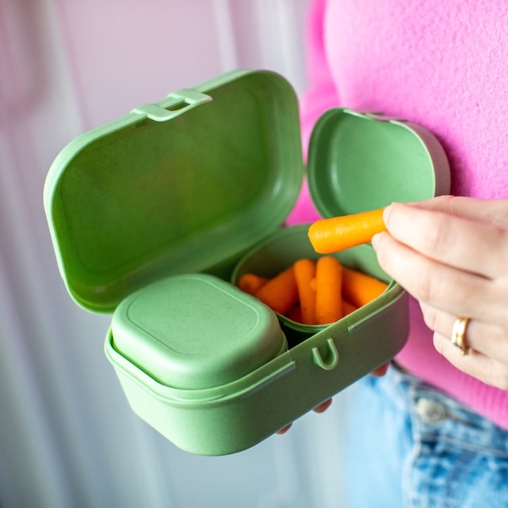 Pascal Ready Mini Lunchbox-Set, nature leaf green von Koziol