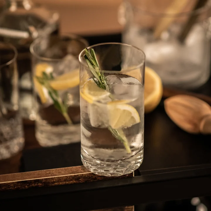 Chess Allround Tringlas von Zwiesel Glas