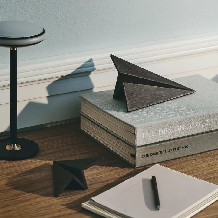 Maverick Holz-Flugzeug von boyhood