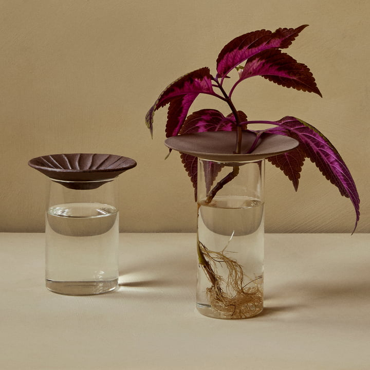 Cresco Propagation Vase (2-er Set), braun / beige von Audo