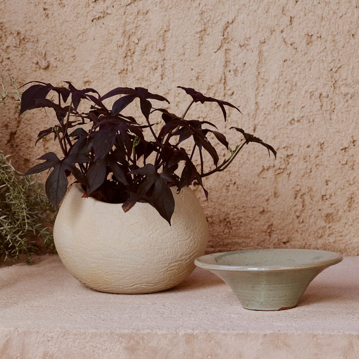 Plantas Pflanzentopf, elfenbein, H 17 cm von Audo