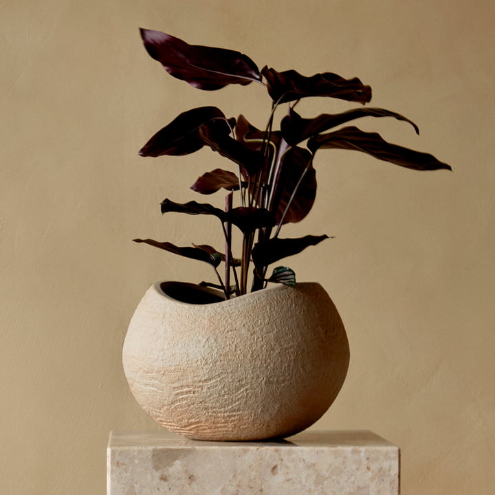 Plantas Pflanzentopf, elfenbein, H 17 cm von Audo