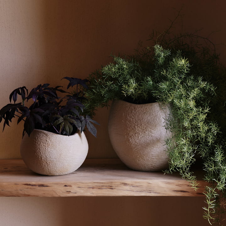Plantas Pflanzentöpfe von Audo