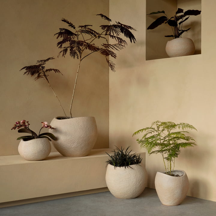 Plantas Pflanzentöpfe von Audo