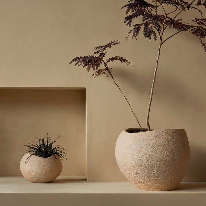 Plantas Pflanzentöpfe von Audo