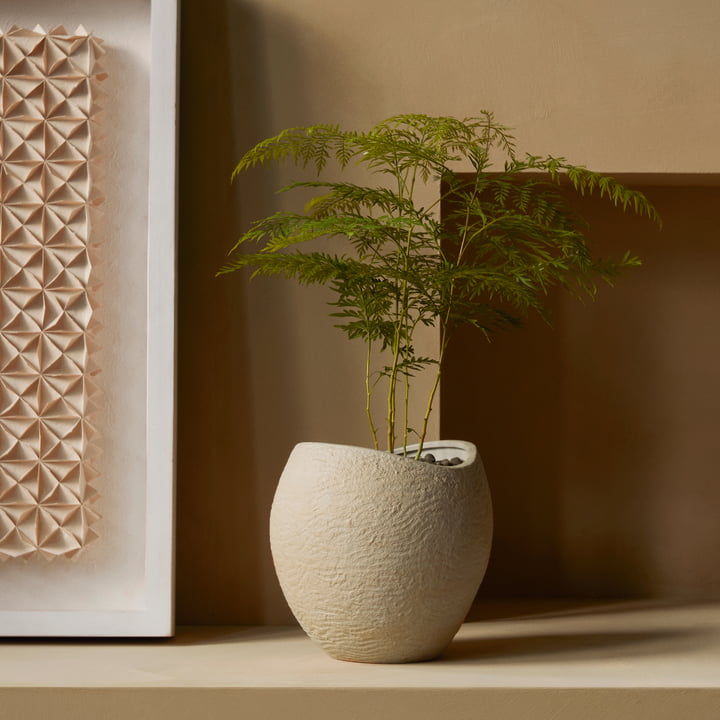 Plantas Pflanzentöpfe von Audo