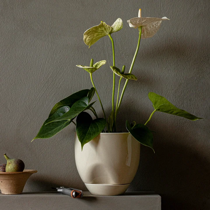 Hydrous Pflanztopf, Ø 20 cm, aschgrau von Audo