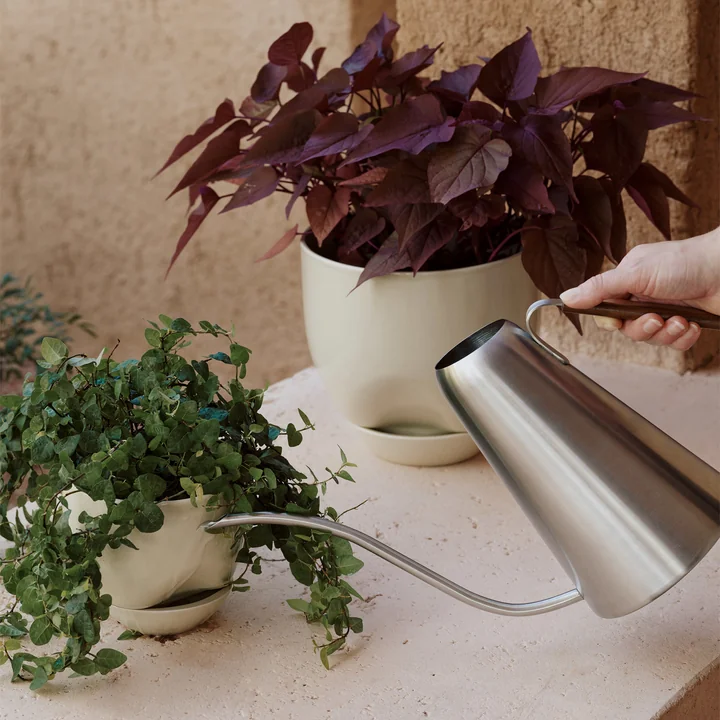 Die Hydrous Serie von Audo