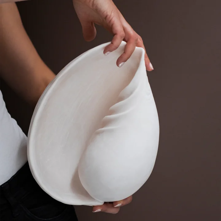 Conch Muscheln von Mette Ditmer