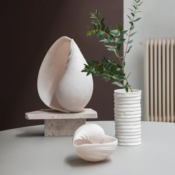 Conch Muscheln von Mette Ditmer