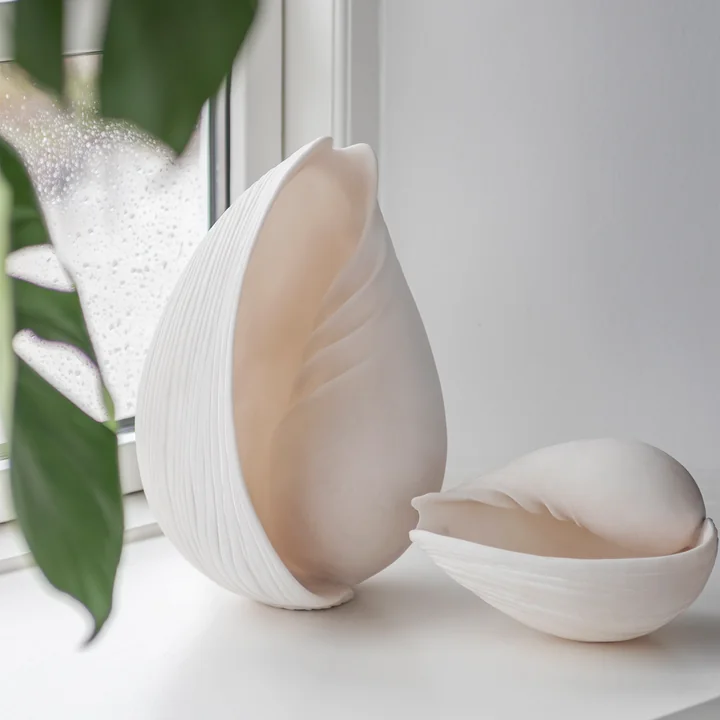 Conch Muscheln von Mette Ditmer