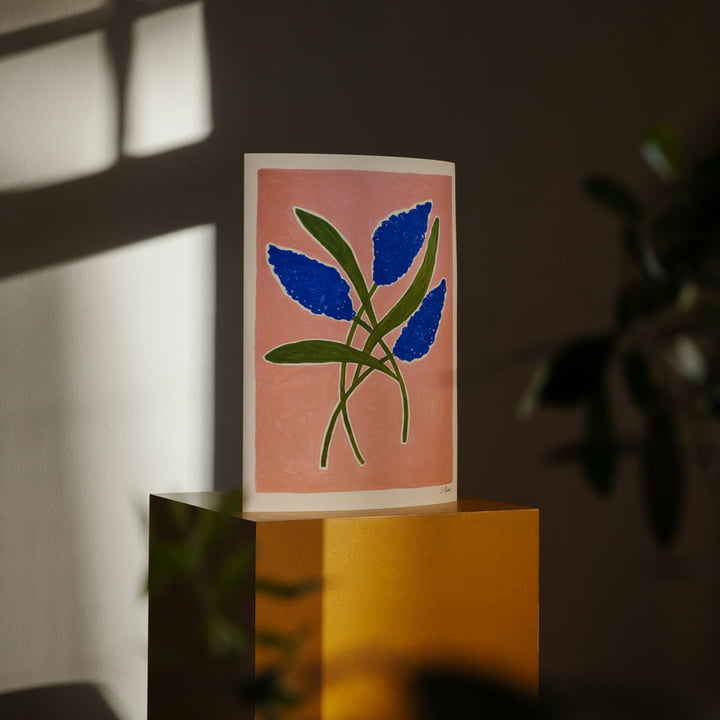 Butterfly Bush von Carla Llanos für The Poster Club