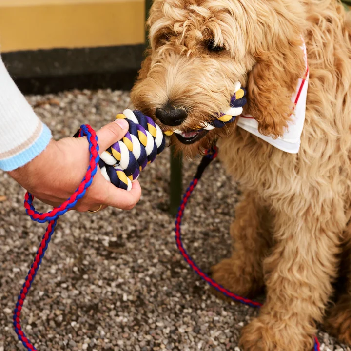 Dogs Rope Spielzeug, blau / lila / ocker von HAY