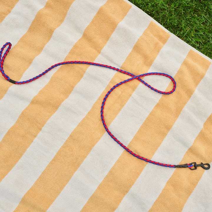 HAY - Dogs Hundeleine, geflochten, rot / blau