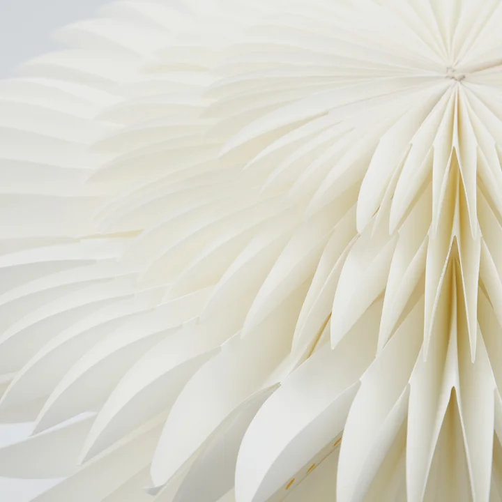 Layer Weihnachtsstern von House Doctor