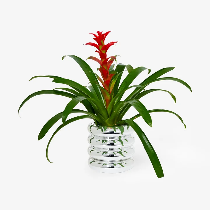 Stacking Blumengefäss von Areaware