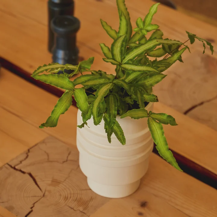 Strata Blumentopf von Areaware