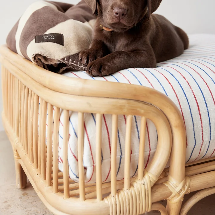 OYOY ZOO - Otto Hundebett