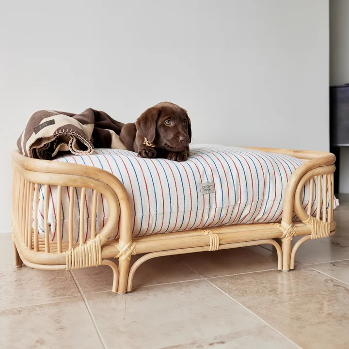 OYOY ZOO - Otto Hundebett