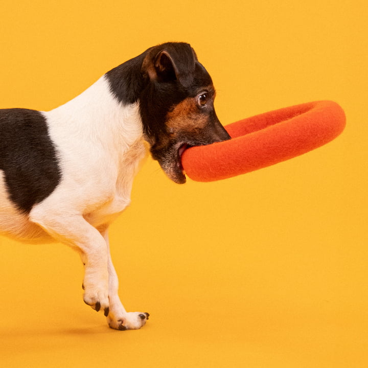 Mats Hundespielzeug, Ring, rotorange von myfelt