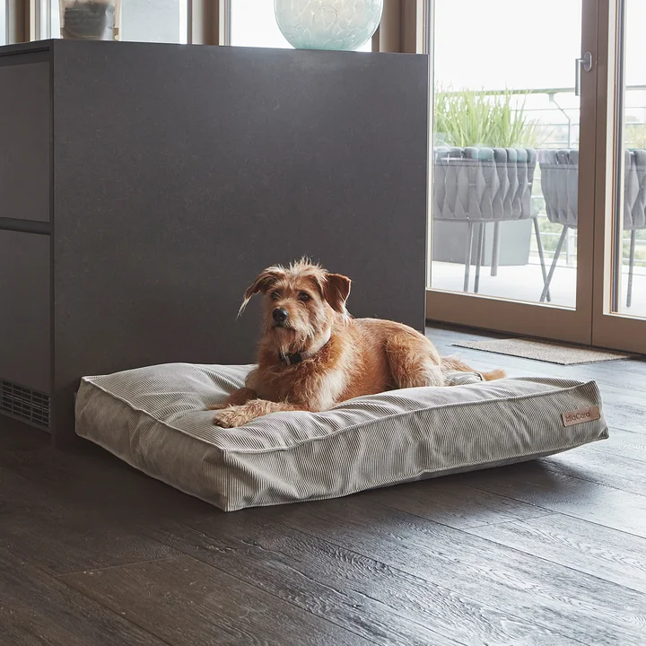 Cordo Hundekissen von MiaCara