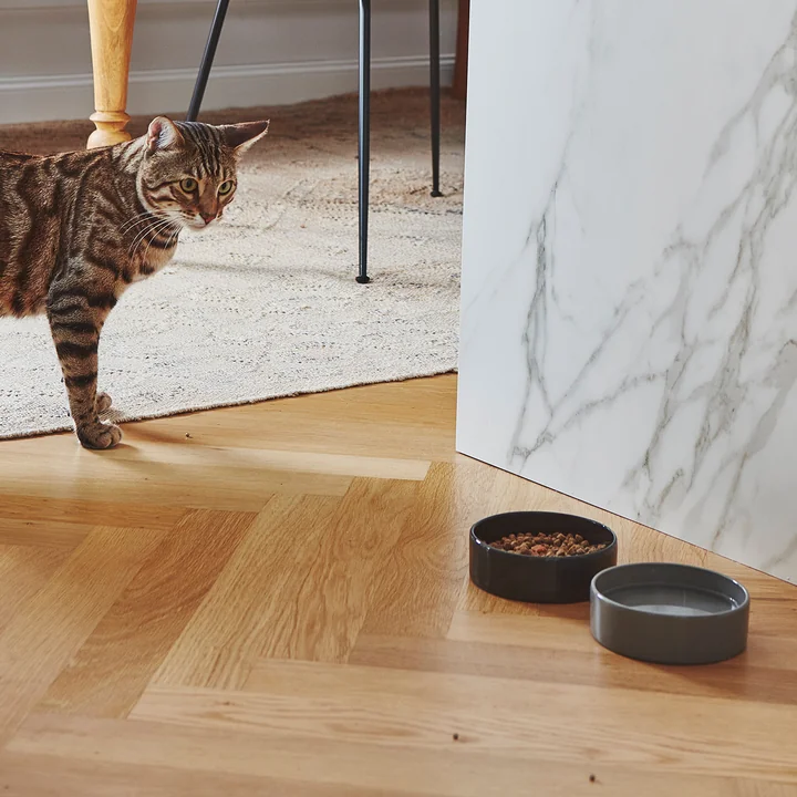 Scodella Katzennapf von MiaCara