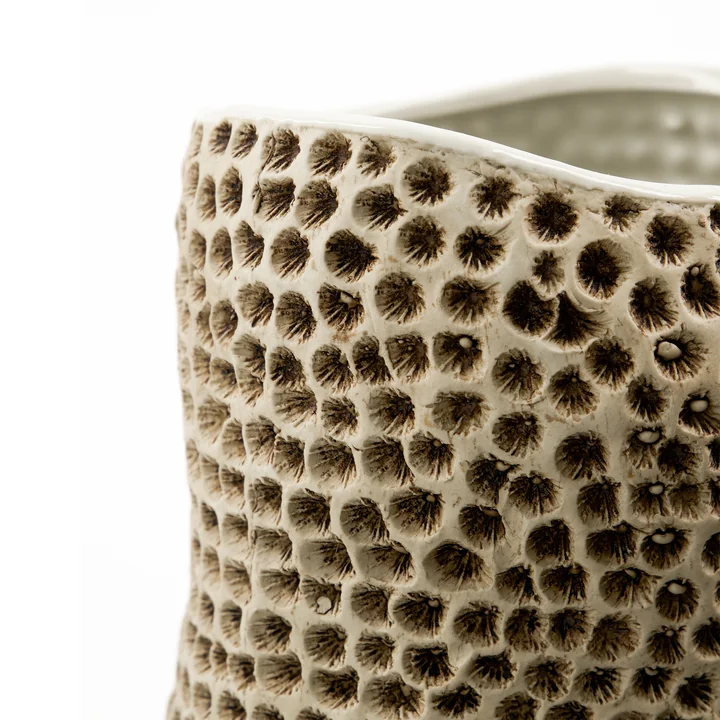 Die Vase von House Doctor