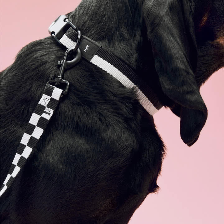 HAY - Dogs Hundehalsband, M/L, Hundeleine M /L Check, schwarz / weiss