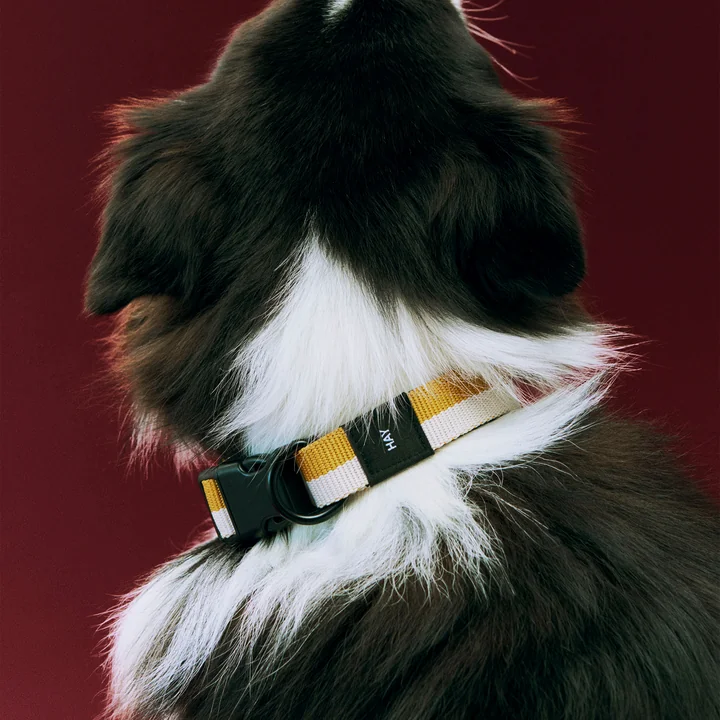 HAY - Dogs Hundehalsband, S/M, off-white / ocker
