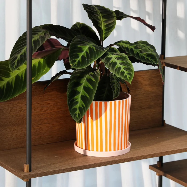 &klevering - Ray Blumentopf mit Untersetzer, Ø 21,5 x 21 cm, orange / rosa / weiss