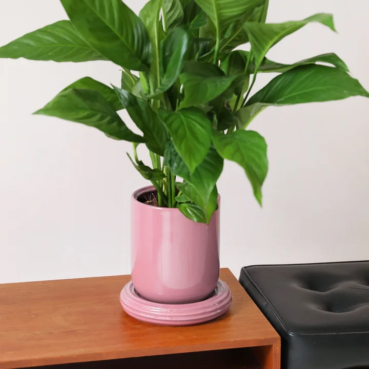 &klevering - Churros Blumentopf, Ø 19,5 x 21 cm, blush