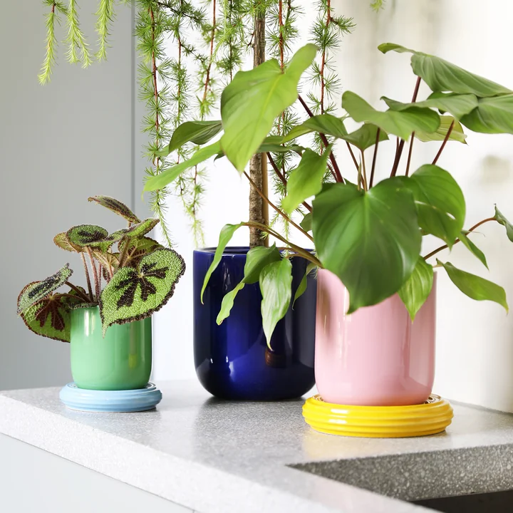 &klevering - Churros Blumentöpfe