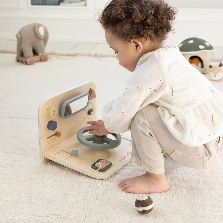 Sebra - Aktivitätstafel Auto, mehrfarbig