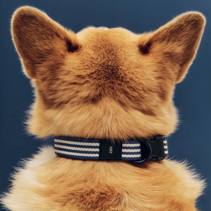 HAY - Dogs Hundehalsband, M/L, blau / weisse Streifen