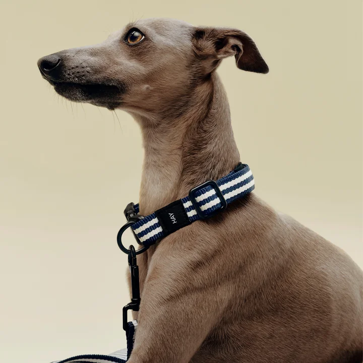 HAY - Dogs Hundehalsband, S/M, blau / weisse Streifen